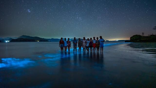 Biolumineszenz-Tour; Schnellboot, Camping (ab San José) - Photo 2 (Gallery view)