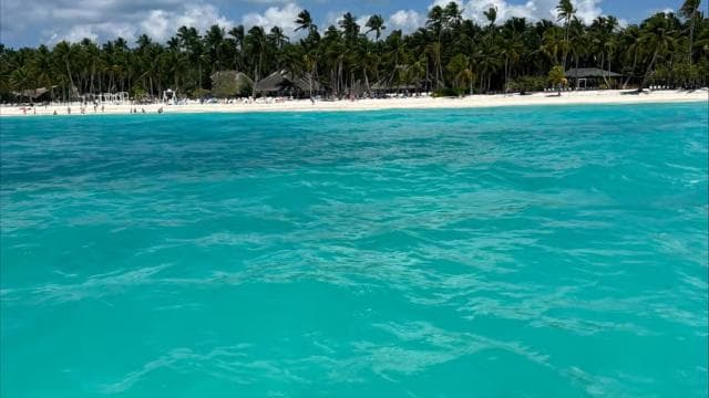 Saona Island - Paradise in the Caribbean - Photo 3 (Gallery view)