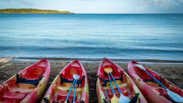 Fajardo: Kayak and Snorkeling Eco-Experience - Dominican Republic