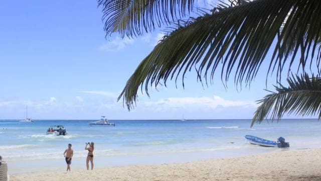 Punta Cana: Saona Island and Altos de Chavón Day Trip - Photo 4 (Gallery view)