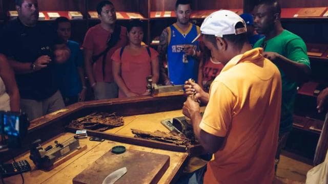 Punta Cana: Samana Full Day Trip Whale Cascada El Limon - Dominican Republic