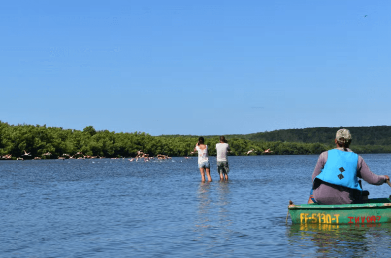 Guanaroca Lagoon Boat Tour - Photo 3 (Gallery view)