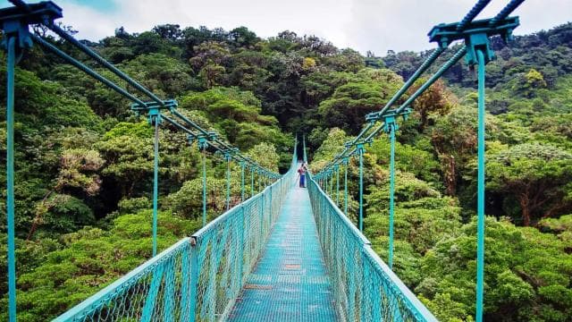 From San José: Monteverde Hanging Bridges Day Trip - Photo 3 (Gallery view)