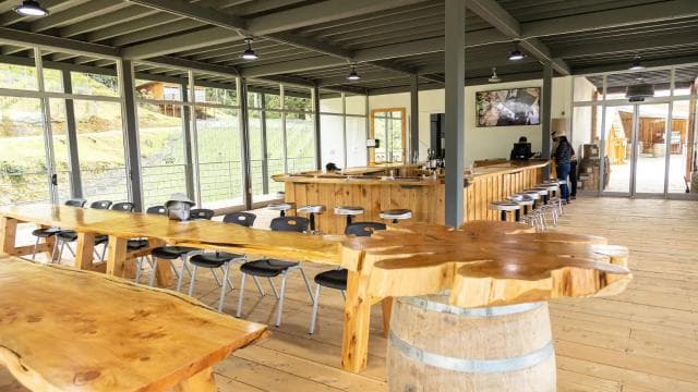 Wine Tour and Golden Rush - Photo 3 (Gallery view)