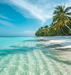 Private: Isla Saona VIP Escape Luxury Beach & Speedboat Tour - Photo 4 (Gallery view)