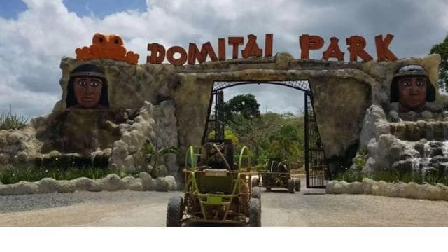 Punta Cana: Domitai Park Zipline, Buggy & Cenote Tour - Photo 2 (Gallery view)