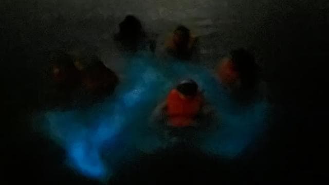 La Parguera: Bioluminescent Bay Boat Tour - Photo 2 (Gallery view)