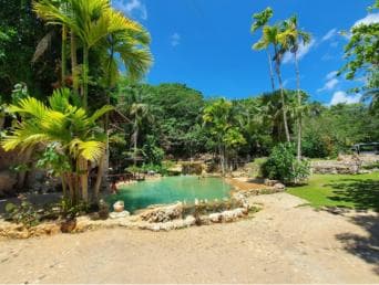Przygoda z Samany: Los Haitises, Caño Hondo i Yanigua - Photo 2 (Gallery view)