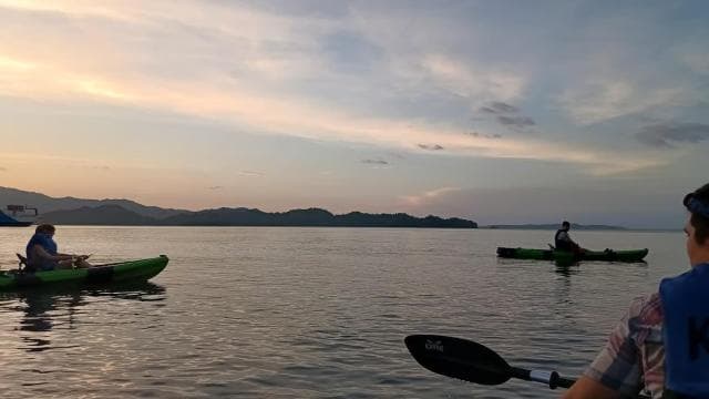 Paquera: Bioluminescent Kayak Tour Costa Rica - Photo 5 (Gallery view)