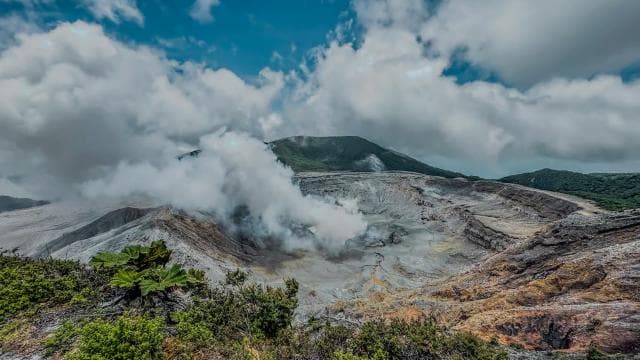 Poas Coffee tour, La Paz Waterfall and Poas Volcano - Photo 4 (Gallery view)