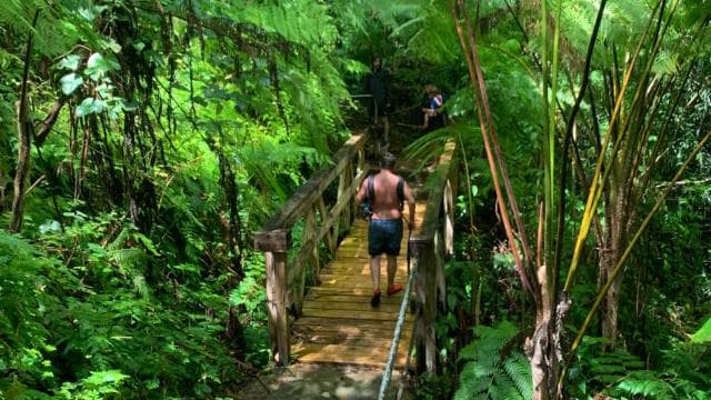 El Yunque National Rainforest Nature Walk & Luquillo Beach - Dominican Republic
