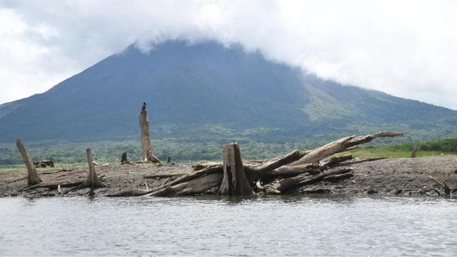 Disfruta de la mejor vista del Volcán en nuestro tour en Kayak en el Lago Arenal - Photo 4 (Gallery view)