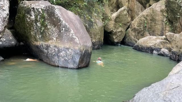 El Yunque: Hidden Off The Path Waterfall Hike w/ Transport - Photo 3 (Gallery view)
