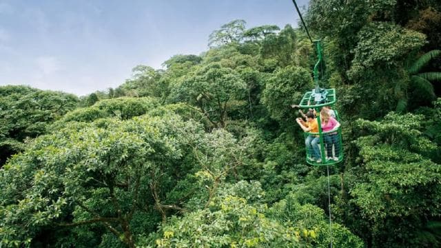 From San Jose: 6-in-1 Rainforest Bridges & Cables Adventure - Photo 2 (Gallery view)