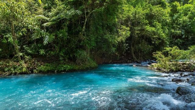 La Fortuna Town: Rio Celeste and Tenorio National Park Tour - Dominican Republic