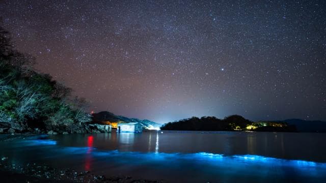 Biolumineszenz-Tour; Schnellboot, Camping (ab San José) - Photo 5 (Gallery view)
