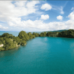 Los Haitises Boat Ride + Caño Hondo Natural Pools - Photo 5 (Gallery view)