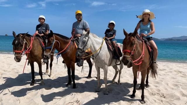 Horseback riding on the beach - Photo 3 (Gallery view)
