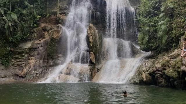 Puerto Rico: Gozalandia River Hiking and Waterfall Tour - Photo 3 (Gallery view)