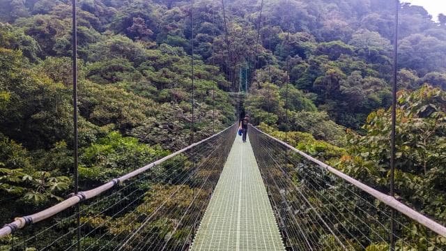 Monteverde: Hanging Bridges in the Cloud Forest Guided Tour - Photo 5 (Gallery view)