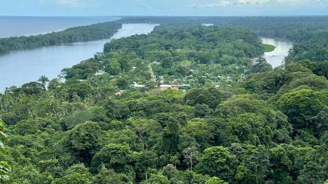Tortuguero: Tour in the Tortuguero hill (dormant volcano) - Photo 4 (Gallery view)