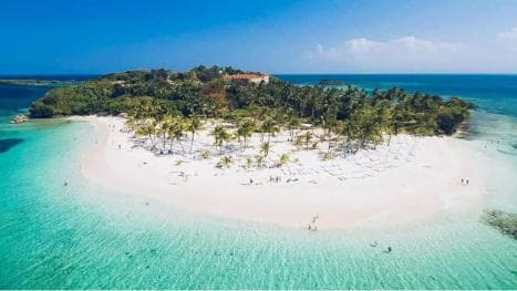 Punta Cana: obserwacja wielorybów w zatoce Samaná i Cayo Levantado - Photo 2 (Gallery view)