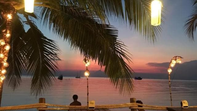 From Jaco: Bioluminiscence Boat Tour with BBQ & Drinks - Photo 4 (Gallery view)