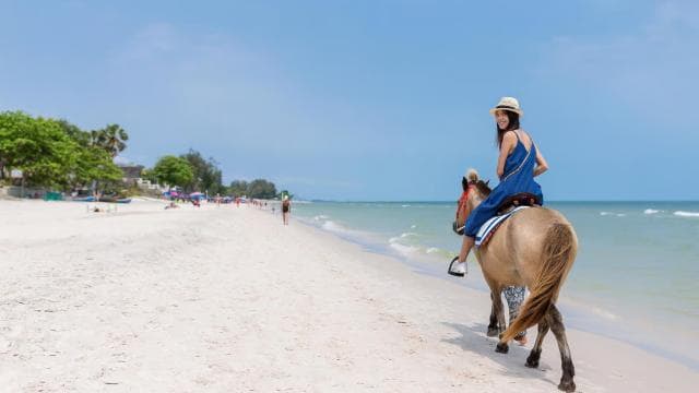 Punta Cana: Horseback Riding through Stunning Beaches - Dominican Republic