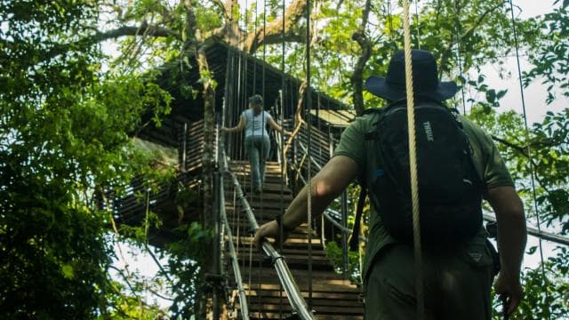Spa or Jaguar Luxury Rainforest Experiences with Lunch - Photo 4 (Gallery view)