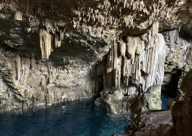 Snorkelling at Coral Beach + Saturn Cave - Photo 4 (Gallery view)
