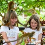 Da Bayahibe: safari di mezza giornata a Monkeyland - Photo 2 (Gallery view)