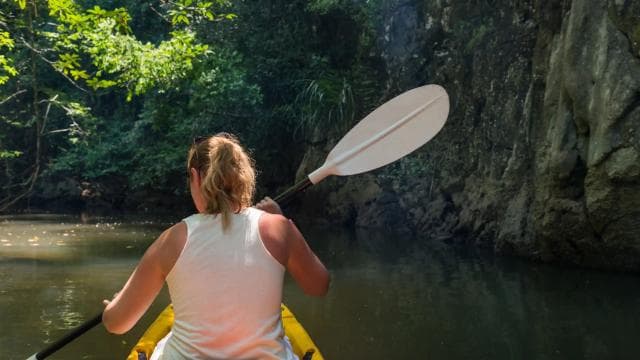 Kayaking Adventure: a 2-hour Wildlife Escape - Photo 4 (Gallery view)