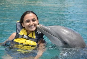 Ocean World Dolphin Swim & Sea Lion Combo from Puerto Plata - Photo 2 (Gallery view)