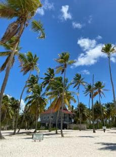 Saona Island VIP: 4 Beaches , Mano Juan & Canto de la Playa - Photo 3 (Gallery view)