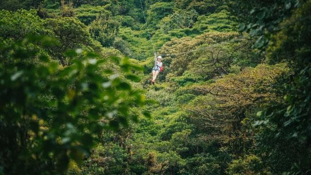 Monteverde: Monteverde Cloud Forest Canopy Adventure - Photo 5 (Gallery view)