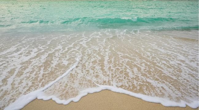 Punta Cana: Saona Island Tour & catamaran food & open Bar - Photo 4 (Gallery view)