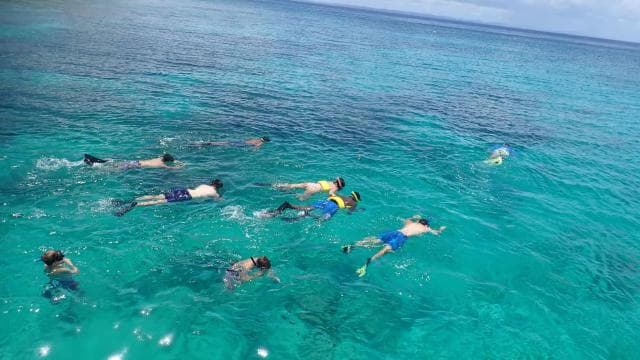 Culebra: Snorkeling Tour by Boat with Lunch - Photo 5 (Gallery view)