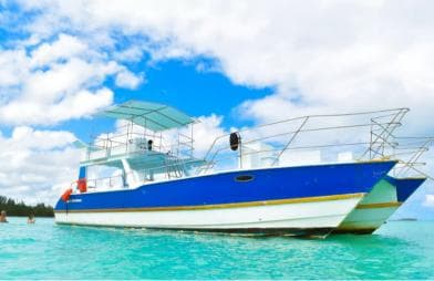 Tour dell'isola di Saona da Santo Domingo con pranzo e ritiro - Photo 4 (Gallery view)