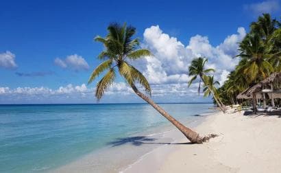 Saona Island: Tour with Lunch and Drinks - Photo 4 (Gallery view)