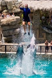Puerto Plata: Ocean World Adventure Park Day Pass - Dominican Republic