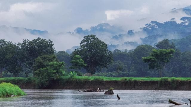 From San José: Carara National Park and Tárcoles River Tour - Photo 4 (Gallery view)