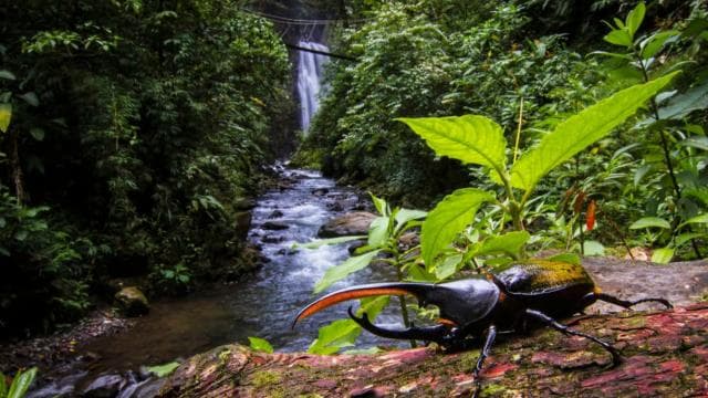 Monteverde: Waterfalls, Wild Trekking and Horseback Riding - Photo 3 (Gallery view)
