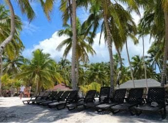 Saona Island: Tour with Lunch and Drinks - Photo 5 (Gallery view)