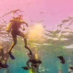 La Romana: Catalina Island Full-Day Snorkeling Tour - Dominican Republic