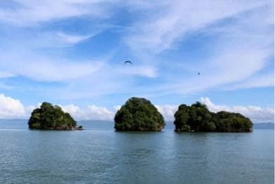 Samana: Los Haitises Kayaks & Caño Hondo Pools Tour w/ Lunch - Photo 4 (Gallery view)