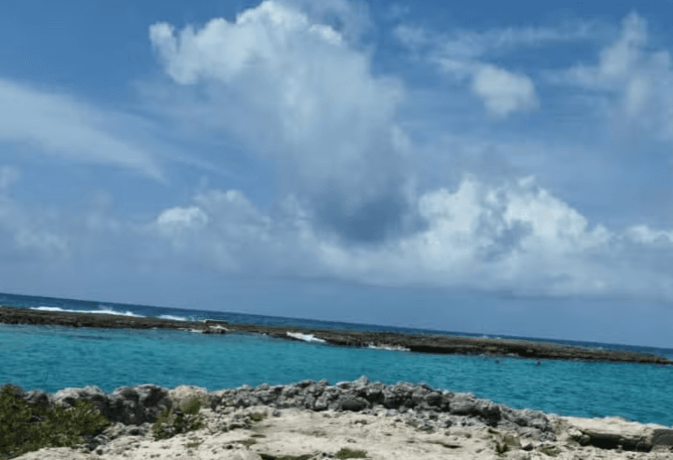 Excursión de un día a Caleta Buena - Photo 2 (Gallery view)