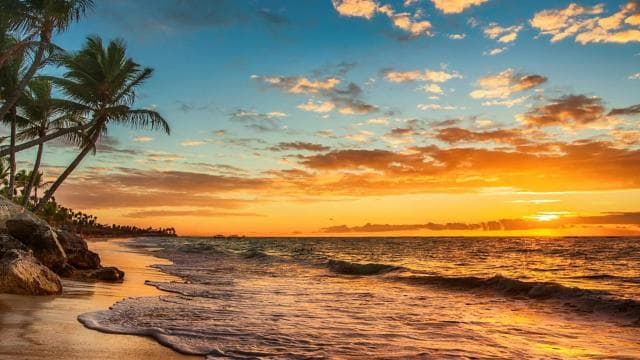 Costa Rica : croisière privée sur la plage et la plongée en apnée - Photo 4 (Gallery view)