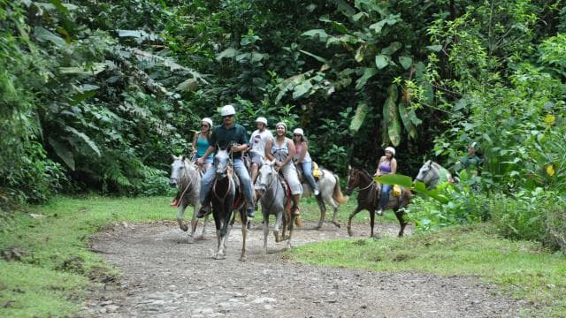 Quepos: Cabalgata a las Cascadas del Chamán - Photo 5 (Gallery view)