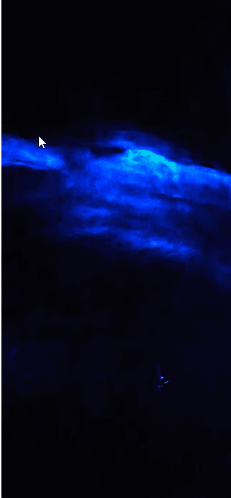 Vieques: Bioluminescent Bay Night Clear Kayak Tour - Dominican Republic