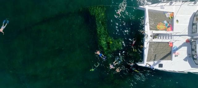 Samaná: Catamaran Boat Tour with Snorkeling and Lunch - Photo 4 (Gallery view)